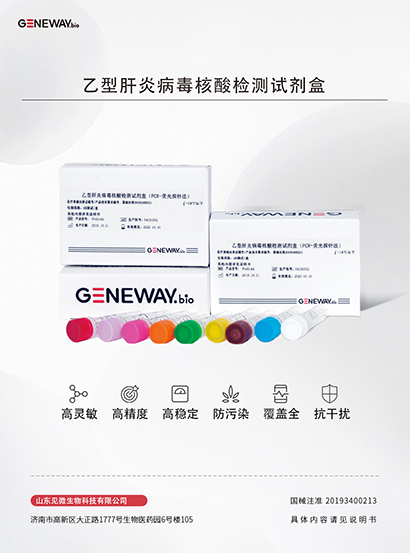 乙型肝炎病毒核酸检测试剂盒